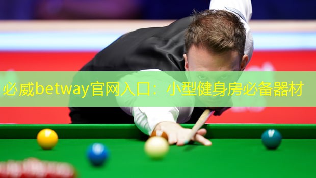 必威betway官網入口：小型健身房必備器材