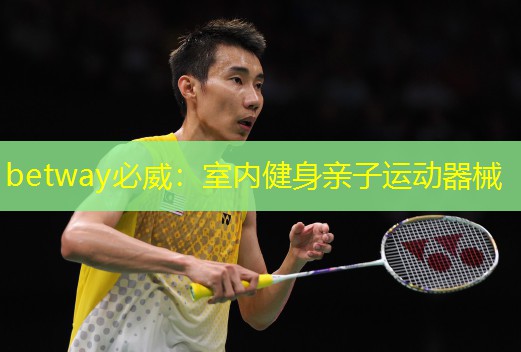 betway必威：室內健身親子運動器械