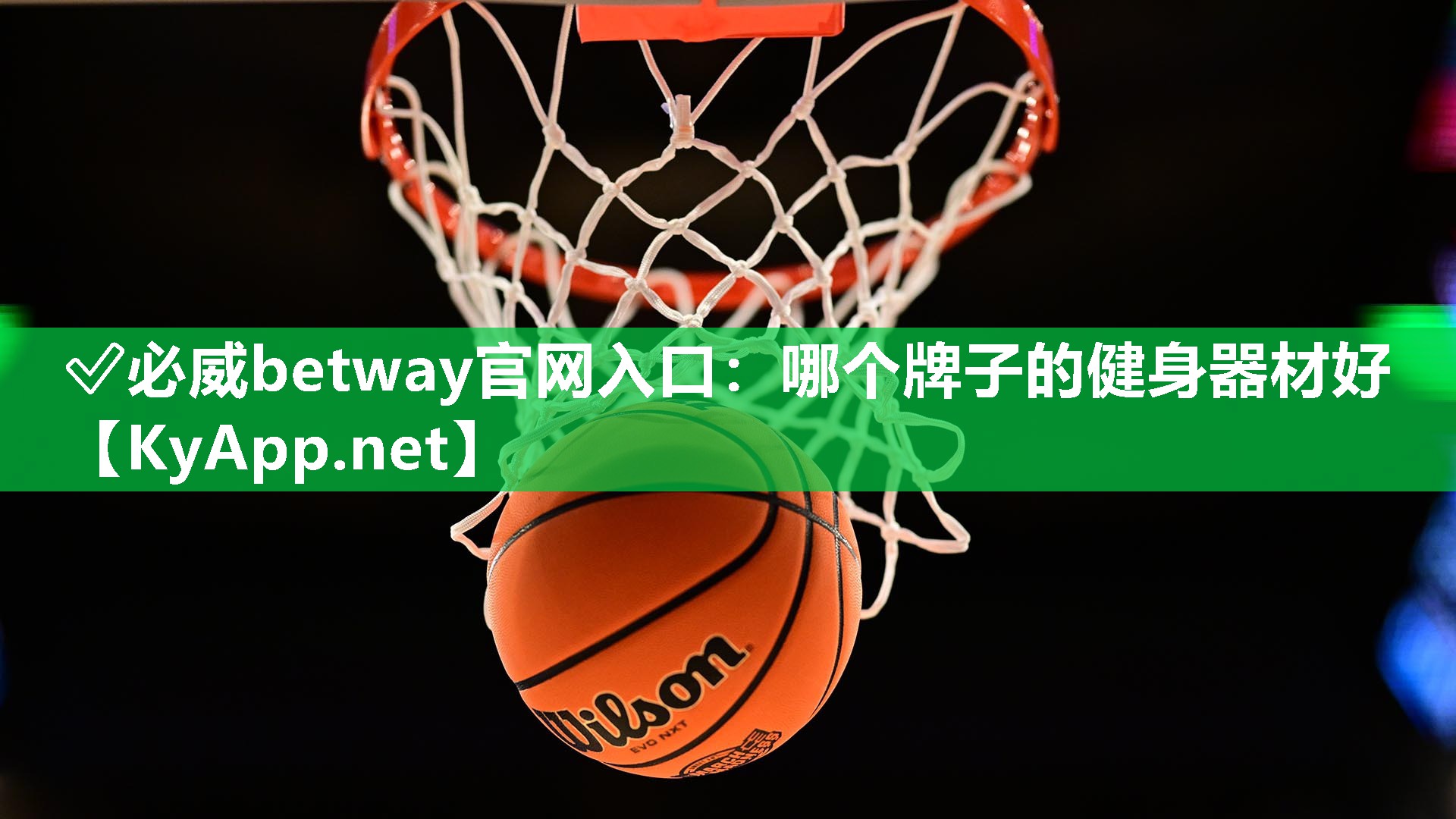 ?必威betway官網入口：哪個牌子的健身器材好