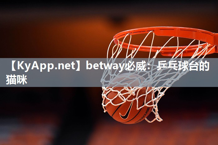 betway必威：乒乓球臺的貓咪