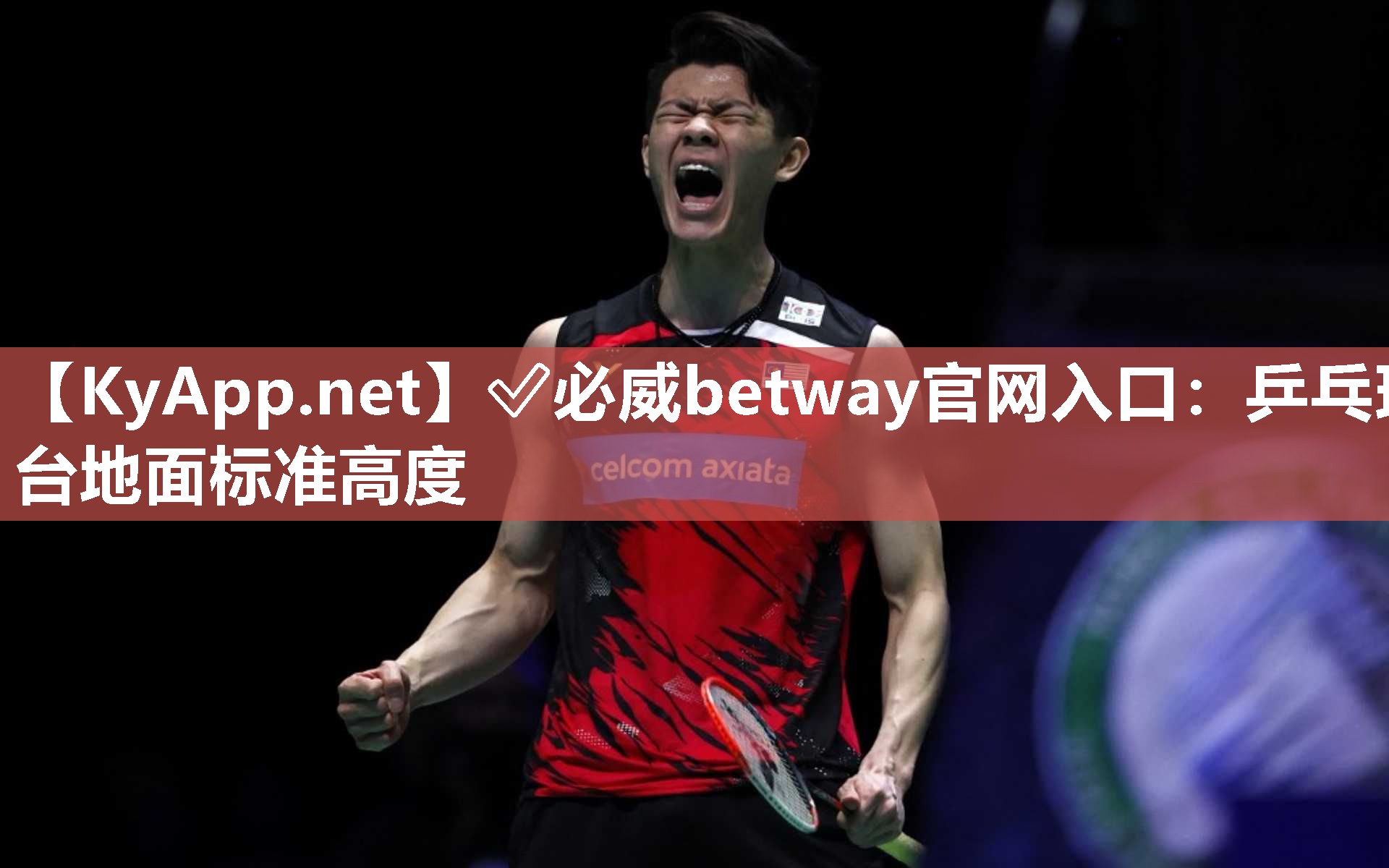 ?必威betway官網入口：乒乓球臺地面標準高度