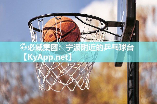 ?必威集團：寧波附近的乒乓球臺