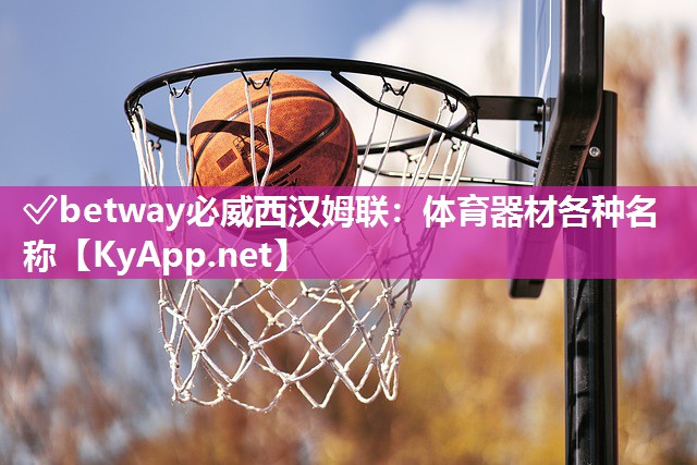 ?betway必威西漢姆聯：體育器材各種名稱