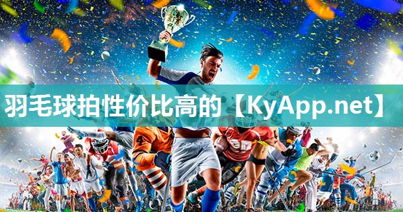 羽毛球拍性價比高的