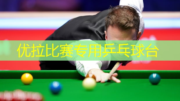 優(yōu)拉比賽專用乒乓球臺