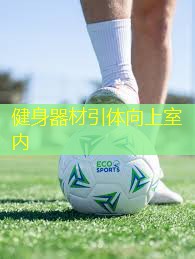 健身器材引體向上室內