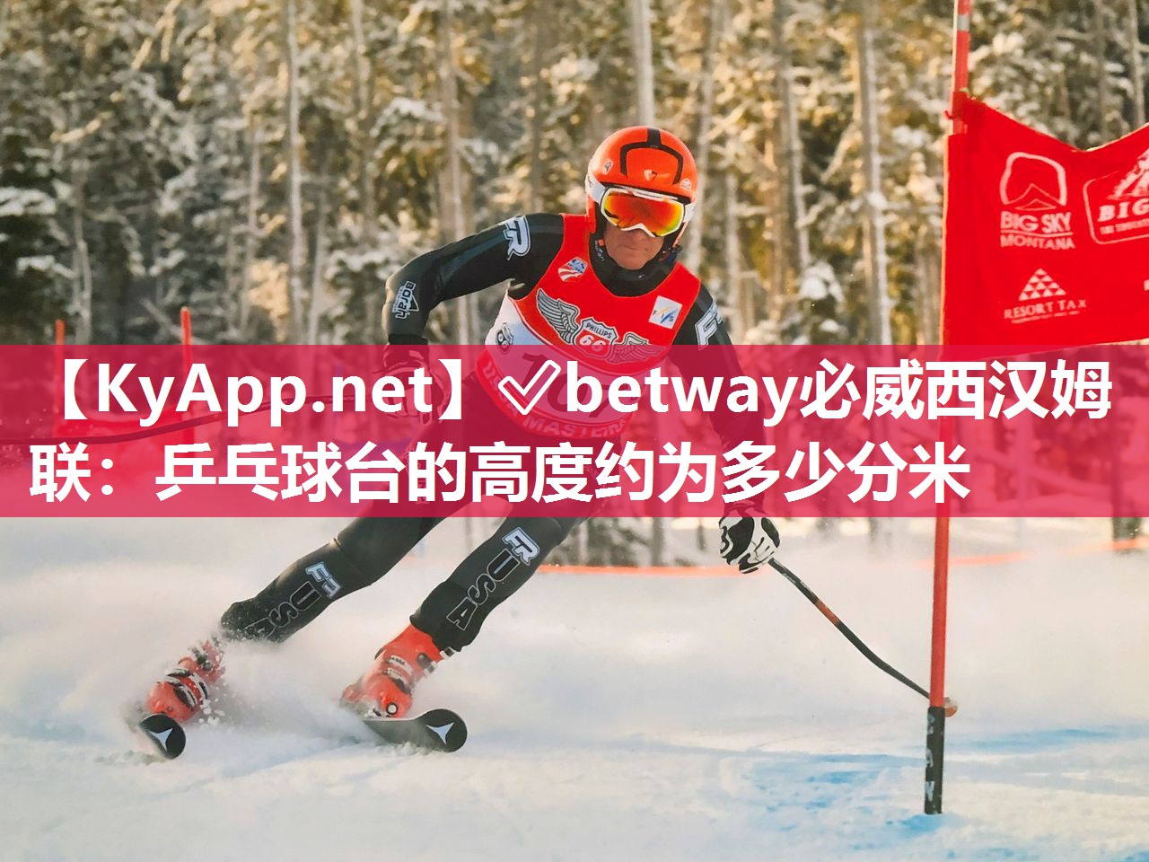 乒乓球臺的高度約為多少分米