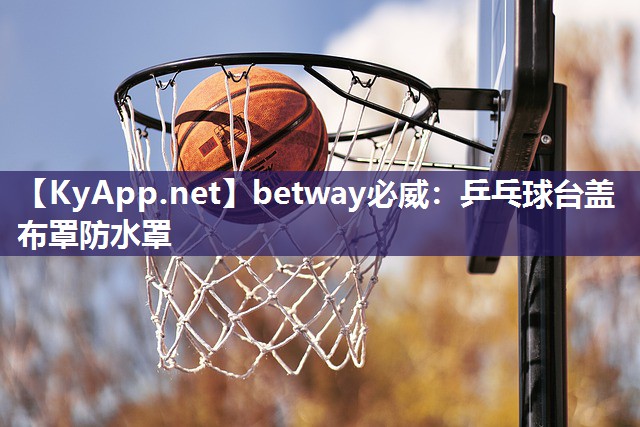 乒乓球臺(tái)蓋布罩防水罩