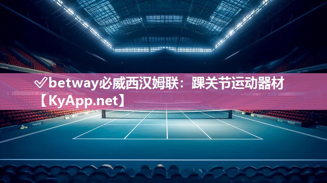 踝關節運動器材