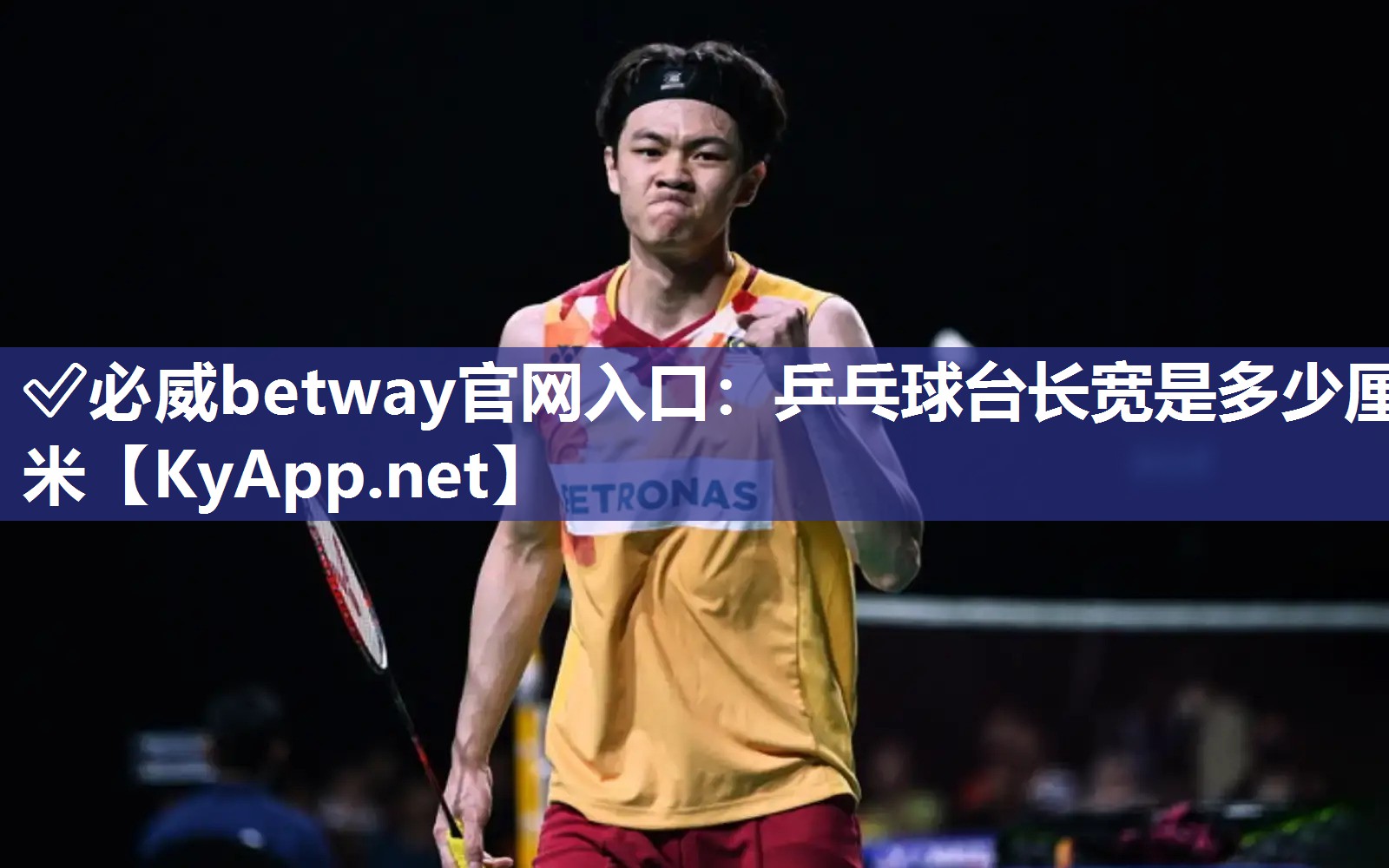 乒乓球臺長寬是多少厘米