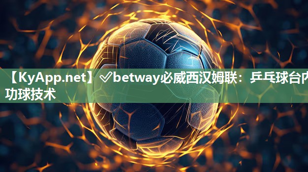 乒乓球臺內功球技術