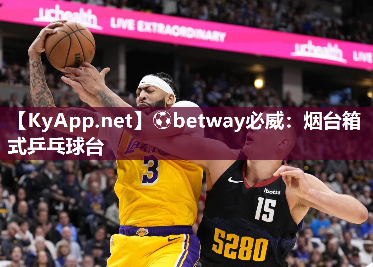煙臺箱式乒乓球臺