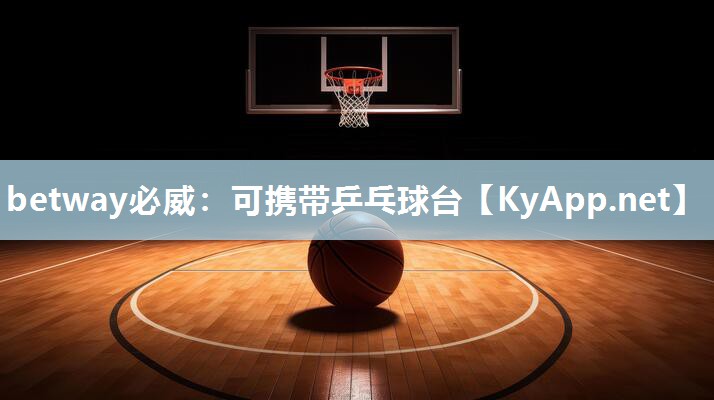 可攜帶乒乓球臺