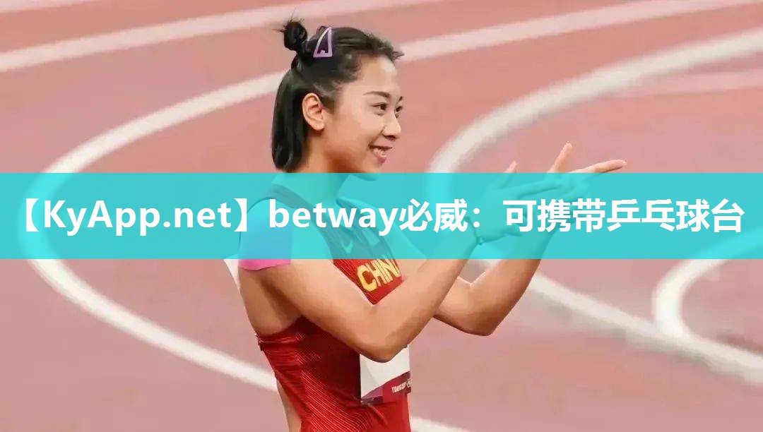 可攜帶乒乓球臺