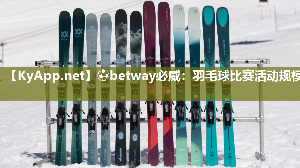 羽毛球比賽活動規模