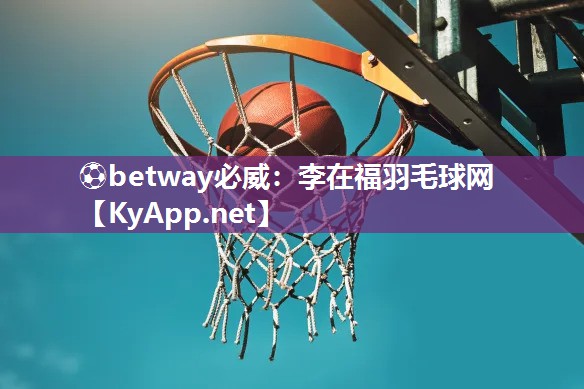 李在福羽毛球網(wǎng)