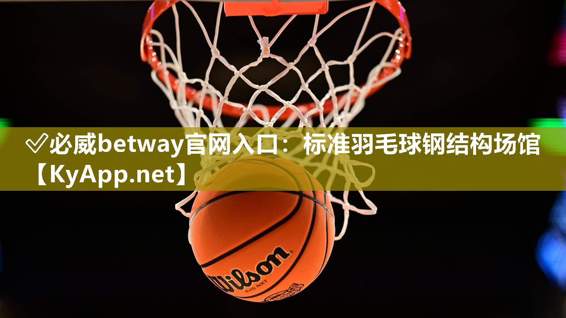 標準羽毛球鋼結構場館