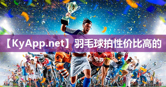 羽毛球拍性價比高的