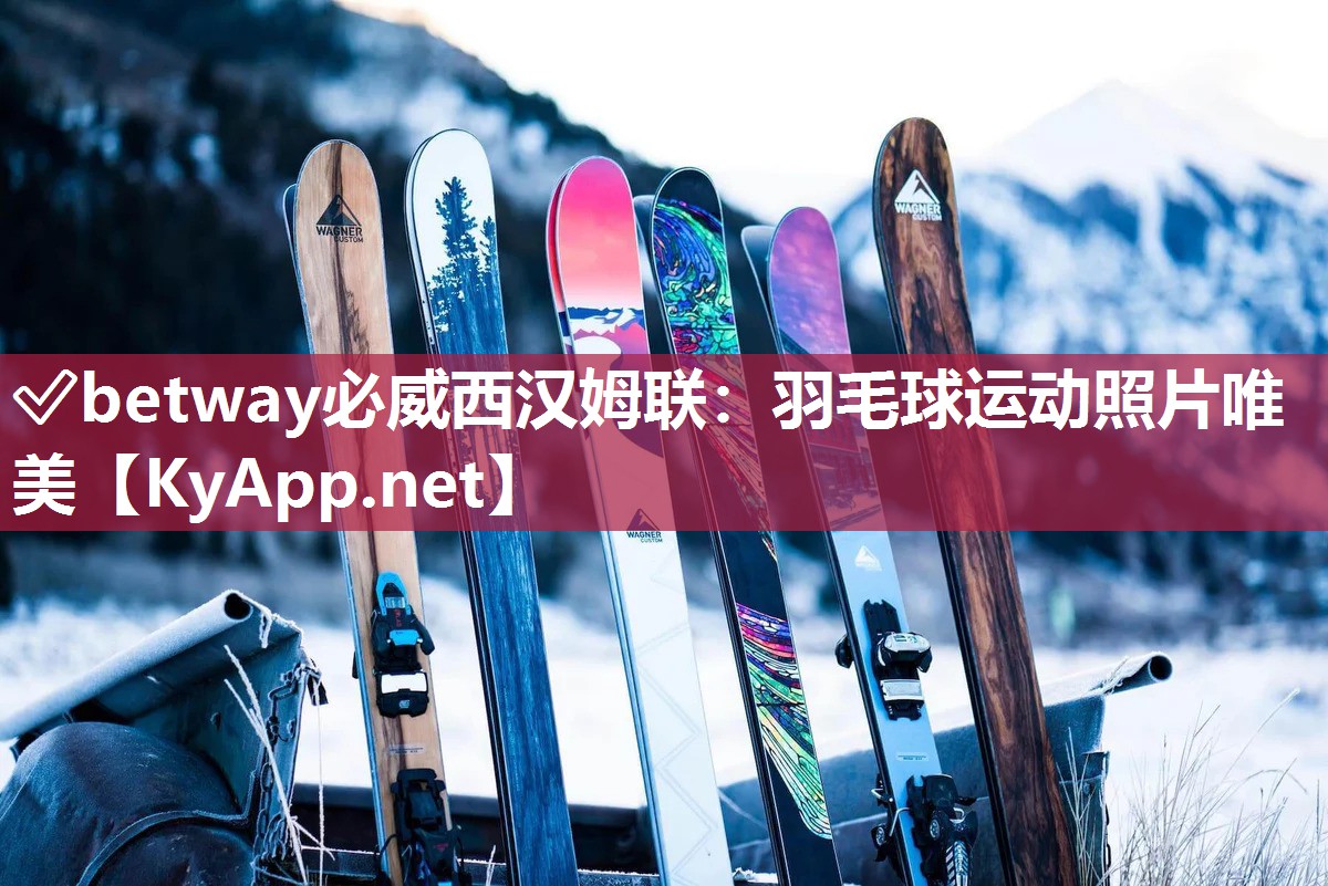 羽毛球運動照片唯美