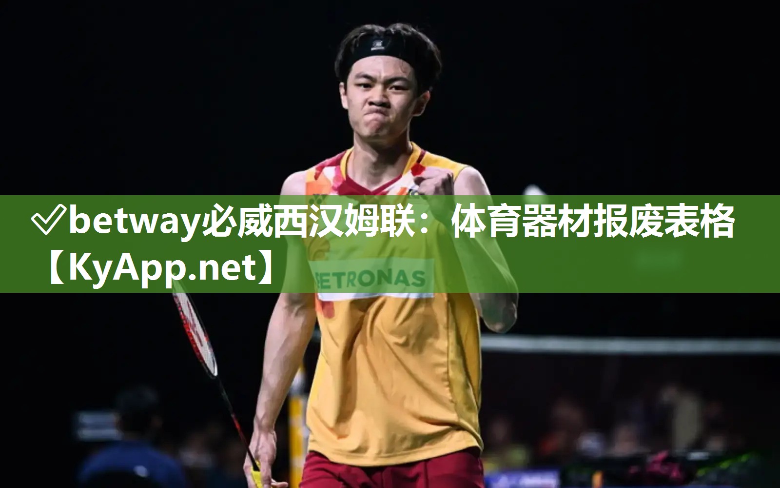 體育器材報廢表格