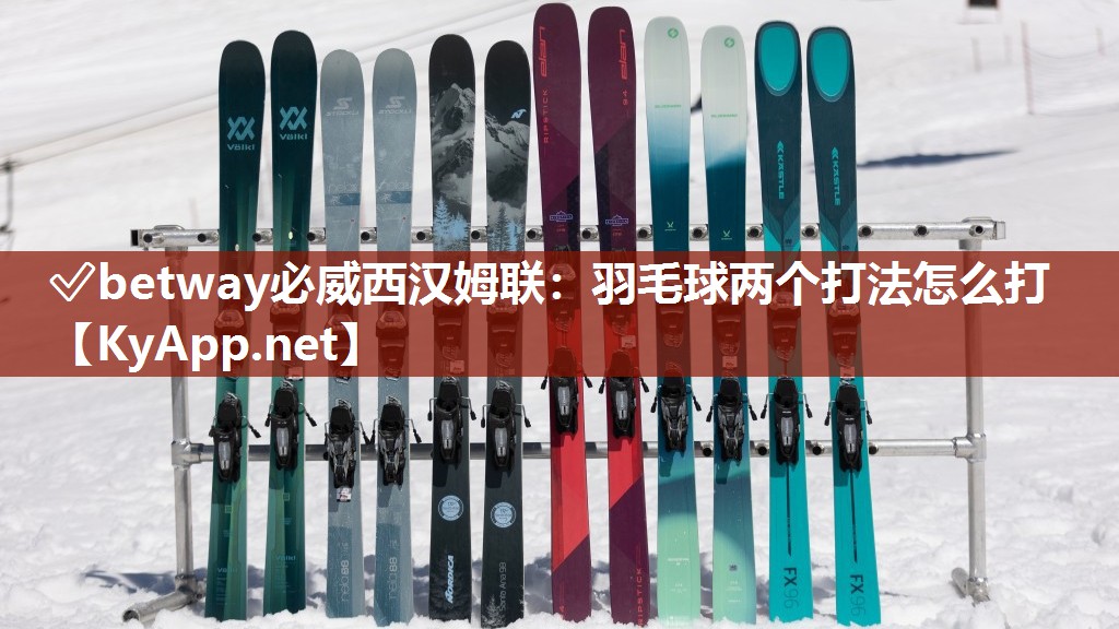羽毛球兩個(gè)打法怎么打