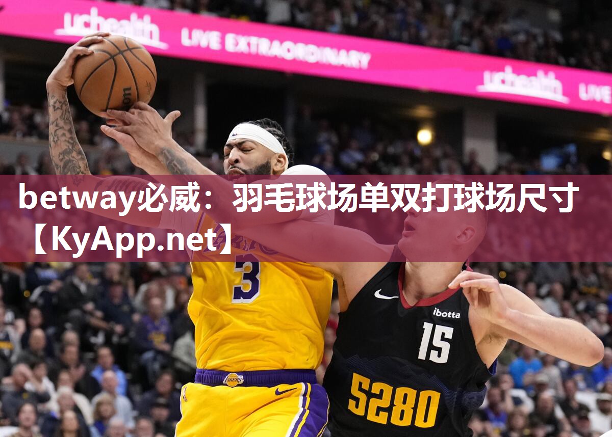 羽毛球場單雙打球場尺寸