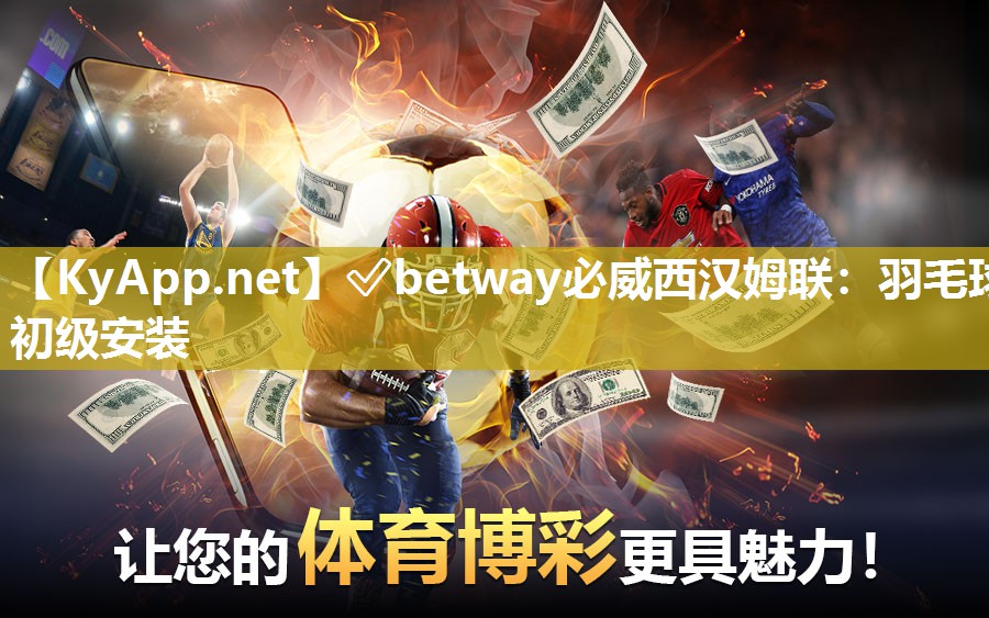 羽毛球初級安裝