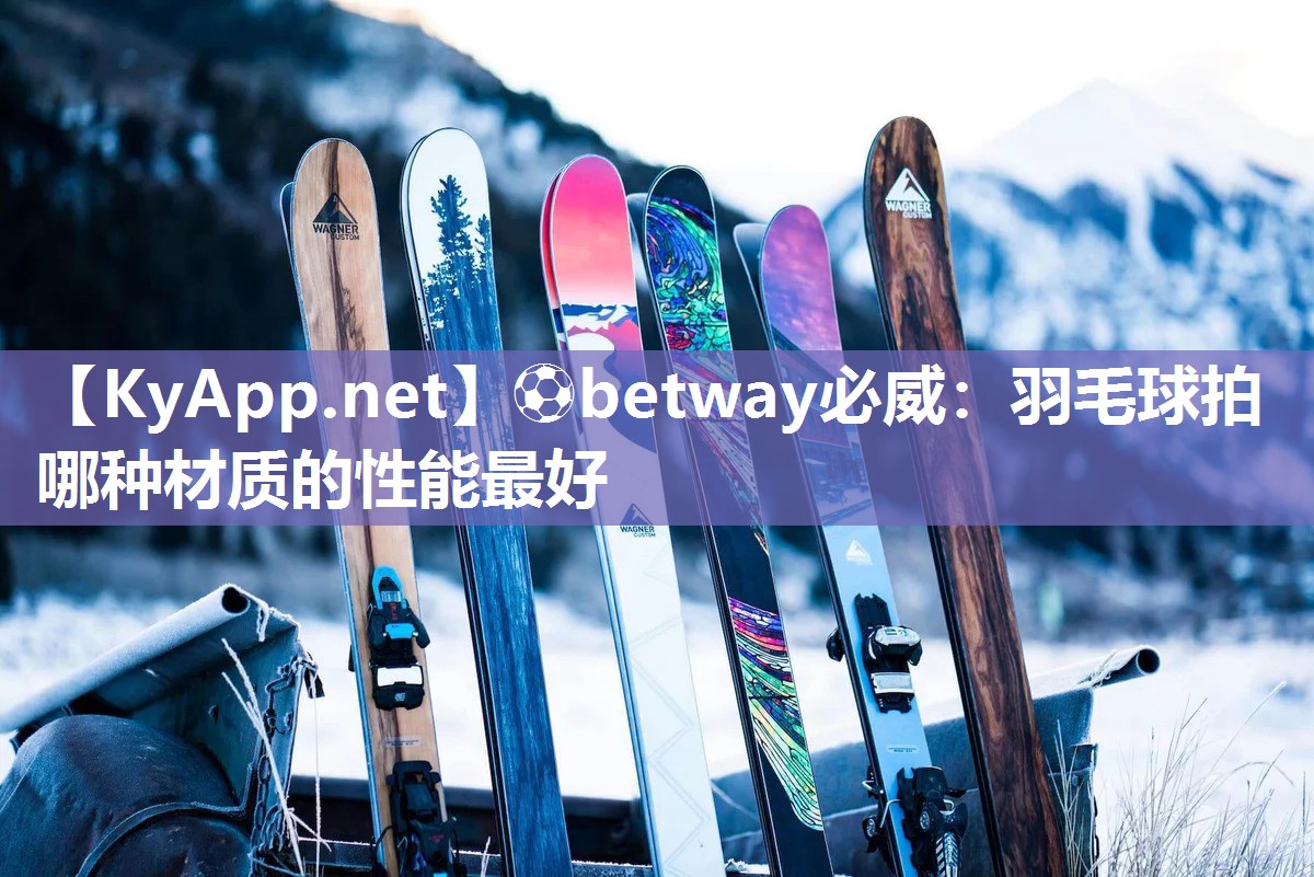 羽毛球拍哪種材質的性能最好
