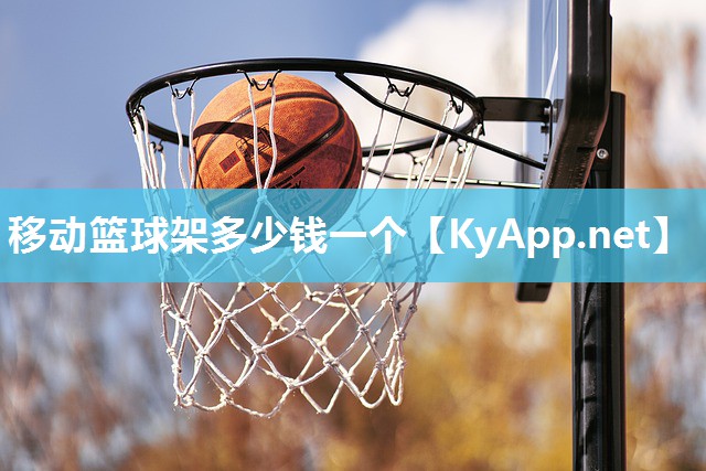 移動籃球架多少錢一個